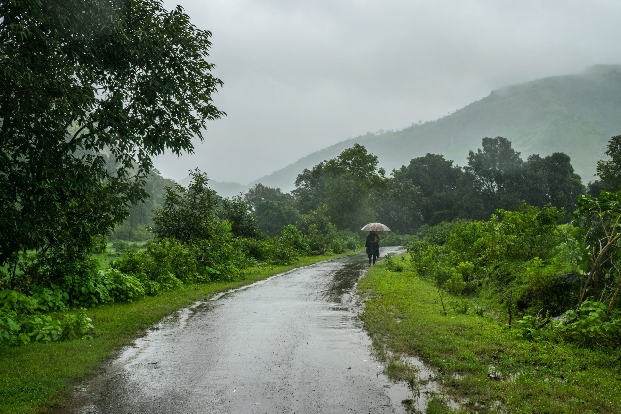 Beautiful and green monsoon road clicked at Malshej Ghat in Maharashtra, India